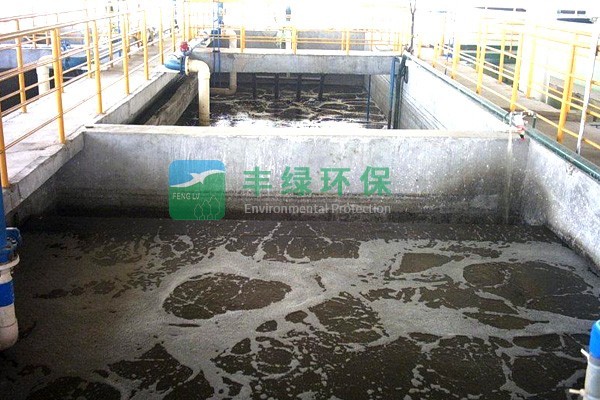 廢水處理后排放標準對環境有什么影響？
